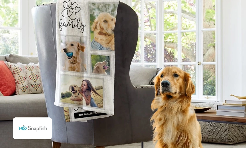 Snapfish US Review: Best Custom Print & Home Décor! ([wpsm_custom_meta type=date field=month] [wpsm_custom_meta type=date field=year]) - The Complete Portal