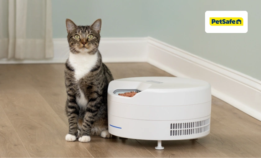 PetSafe US Review Innovation Meets Everyday Pet Care
