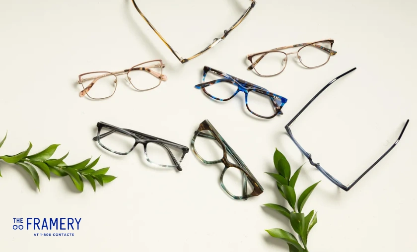 The Framery US Review: Best Stylish Everyday Eyewear! ([wpsm_custom_meta type=date field=month] [wpsm_custom_meta type=date field=year]) - The Complete Portal