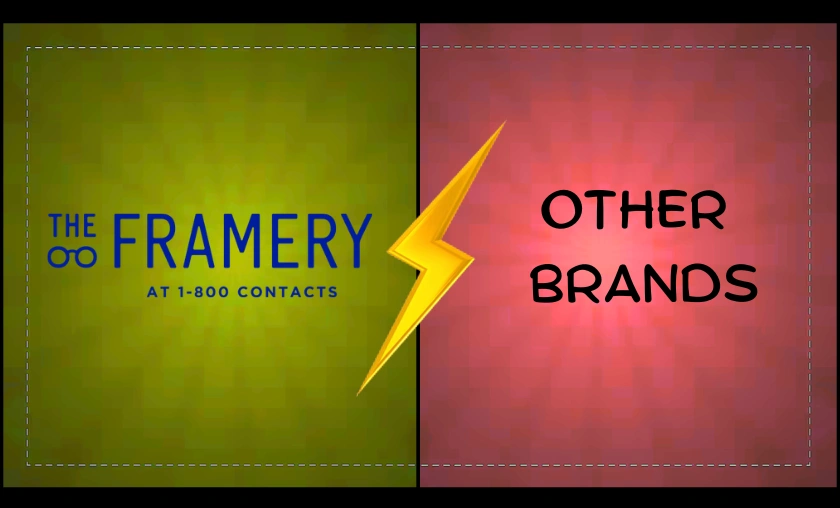 The Framery US Review: Best Stylish Everyday Eyewear! ([wpsm_custom_meta type=date field=month] [wpsm_custom_meta type=date field=year]) - The Complete Portal