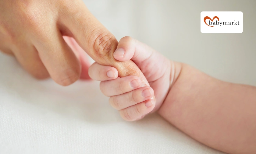 Babymarkt IT Review: Best Baby Products & Essentials! ([wpsm_custom_meta type=date field=month] [wpsm_custom_meta type=date field=year]) - The Complete Portal