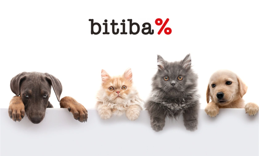 Bitiba ES Review: The Best Pet Food & Supplies! ([wpsm_custom_meta type=date field=month] [wpsm_custom_meta type=date field=year]) - The Complete Portal
