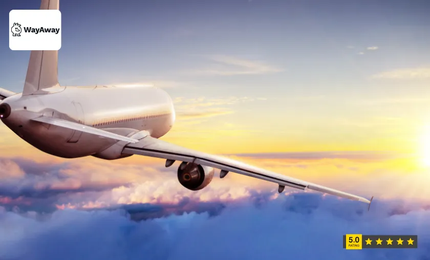 WayAway Global Customer Reviews!
