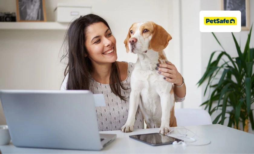 PetSafe US Review: Premium Products for Happier, Safer Pets! ([wpsm_custom_meta type=date field=month] [wpsm_custom_meta type=date field=year]) - The Complete Portal