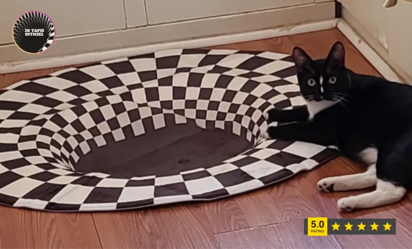 3D Tapis Officiel Customer Reviews!