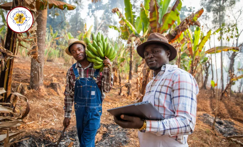 Africa4health Missions Ltd Review: Natural Health! (([wpsm_custom_meta type=date field=month] [wpsm_custom_meta type=date field=year]) - The Complete Portal