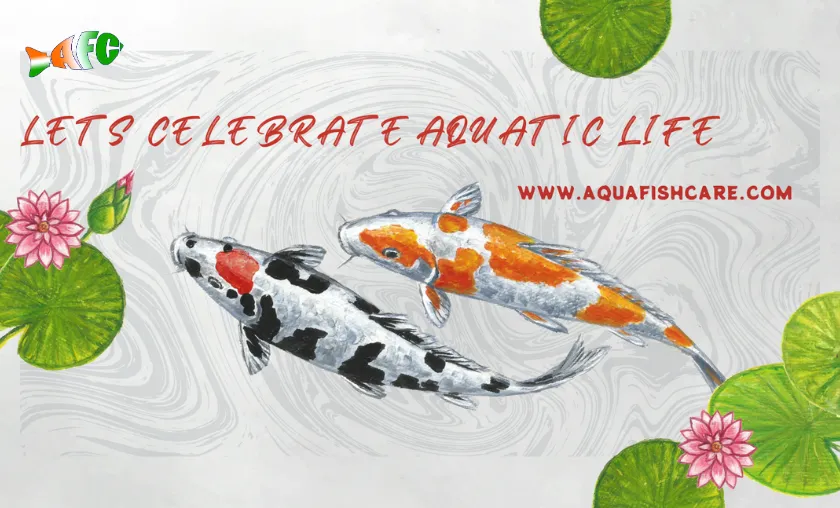 Aquafishcare Review: Best Fish Supplies & Pet Food! ([wpsm_custom_meta type=date field=month] [wpsm_custom_meta type=date field=year]) - The Complete Portal