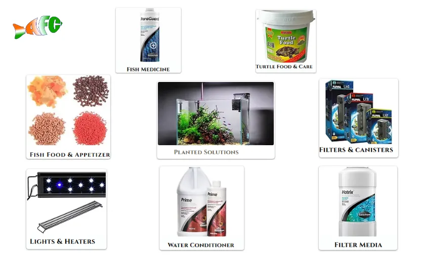 Aquafishcare Review: Best Fish Supplies & Pet Food! ([wpsm_custom_meta type=date field=month] [wpsm_custom_meta type=date field=year]) - The Complete Portal