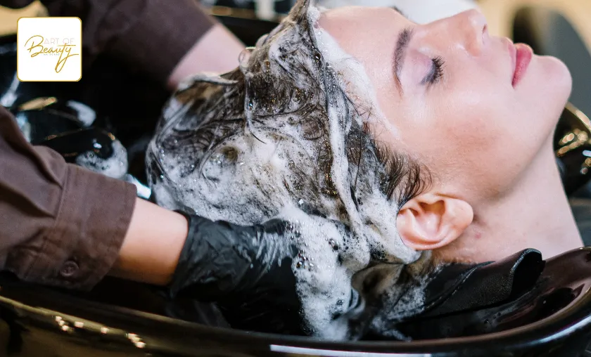 Art Of Beauty Hair Care Review: Best Hair Care Kits! ([wpsm_custom_meta type=date field=month] [wpsm_custom_meta type=date field=year]) - The Complete Portal