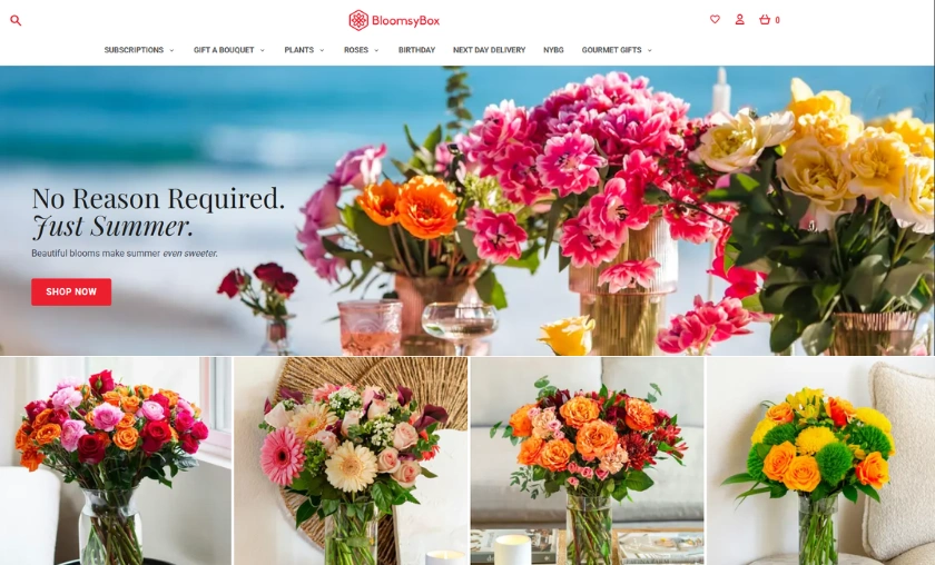 BloomsyBox US Review – Premium Flower Delivery Experience! ([wpsm_custom_meta type=date field=month] [wpsm_custom_meta type=date field=year]) - The Complete Portal