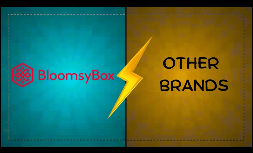 BloomsyBox US Review – Premium Flower Delivery Experience! ([wpsm_custom_meta type=date field=month] [wpsm_custom_meta type=date field=year]) - The Complete Portal