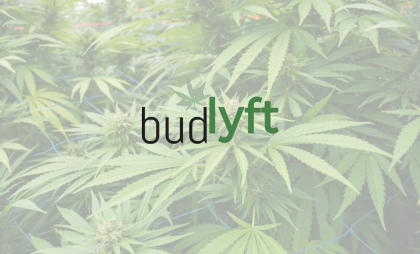 BudLyft Global Review