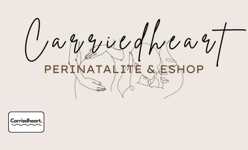 Carriedheart Review: The Best Breastfeeding Support! ([wpsm_custom_meta type=date field=month] [wpsm_custom_meta type=date field=year]) - The Complete Portal