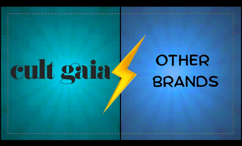 Cult Gaia US vs Other Brands – A Smart Comparison