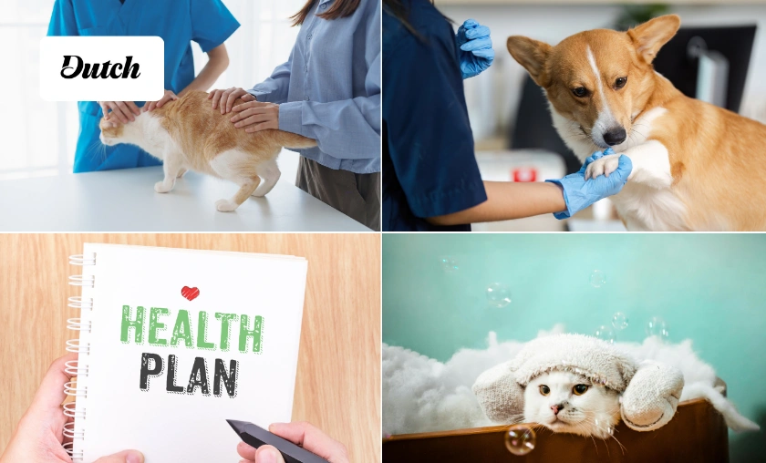 Dutch US Review: Best Online Vet Care & Pet Health! ([wpsm_custom_meta type=date field=month] [wpsm_custom_meta type=date field=year]) - The Complete Portal