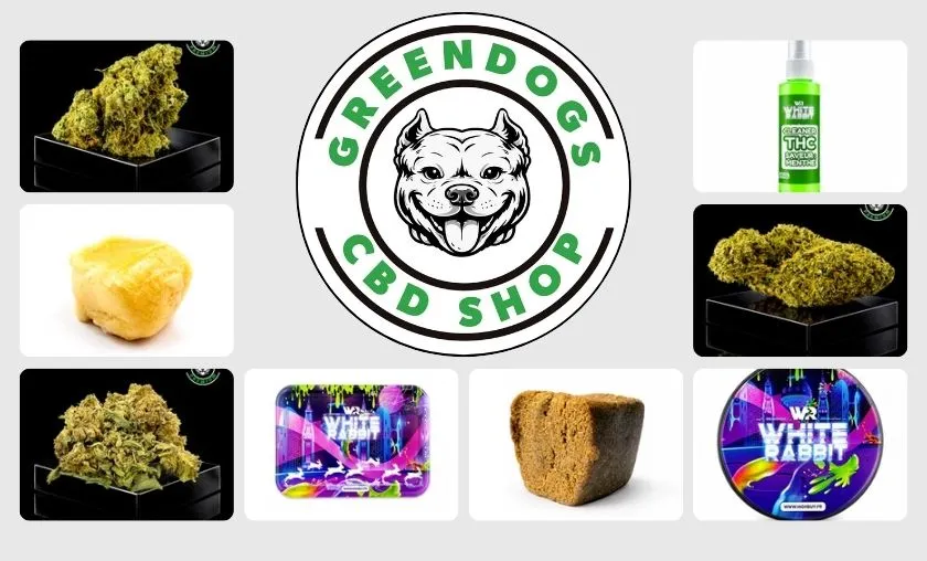 Greendogs CBD Review: Best CBD Flowers & Wellness! ([wpsm_custom_meta type=date field=month] [wpsm_custom_meta type=date field=year]) - The Complete Portal