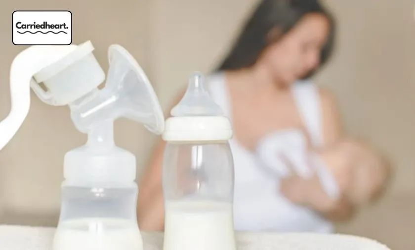 Carriedheart Review: The Best Breastfeeding Support! ([wpsm_custom_meta type=date field=month] [wpsm_custom_meta type=date field=year]) - The Complete Portal