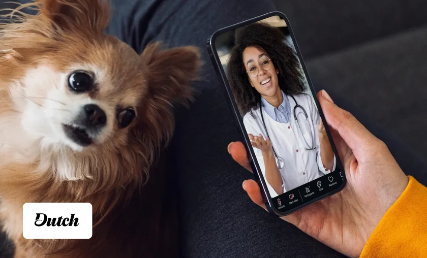 Dutch US Review: Best Online Vet Care & Pet Health! ([wpsm_custom_meta type=date field=month] [wpsm_custom_meta type=date field=year]) - The Complete Portal