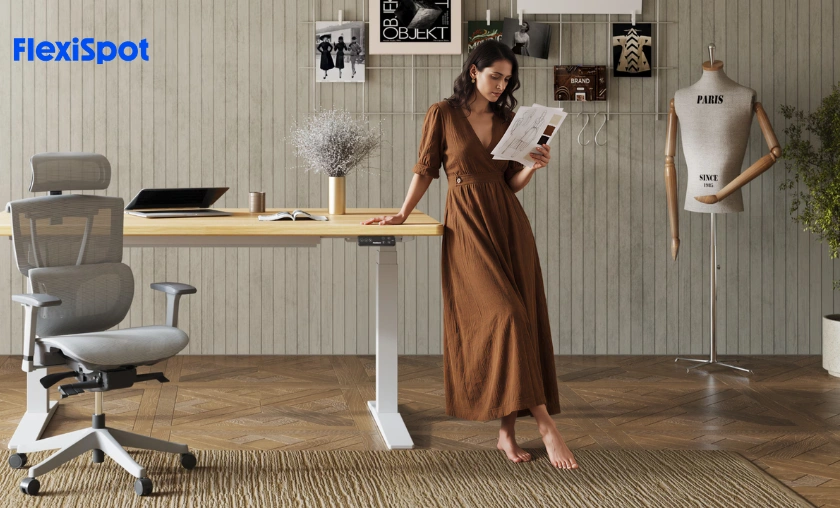 FlexiSpot FR Review – Modern Office Furniture & Comfort! ([wpsm_custom_meta type=date field=month] [wpsm_custom_meta type=date field=year]) - The Complete Portal