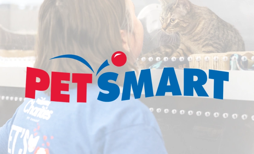 PetSmart CA Review – A Detailed Look