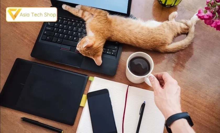Asia Tech Shop Review: Best PC Parts & Pet Supplies! ([wpsm_custom_meta type=date field=month] [wpsm_custom_meta type=date field=year]) - The Complete Portal
