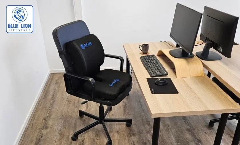 Blue Lion Lifestyle Review: Best Fitness Equipment! ([wpsm_custom_meta type=date field=month] [wpsm_custom_meta type=date field=year]) - The Complete Portal