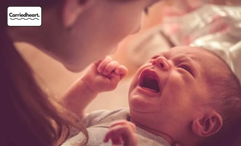 Carriedheart Review: The Best Breastfeeding Support! ([wpsm_custom_meta type=date field=month] [wpsm_custom_meta type=date field=year]) - The Complete Portal