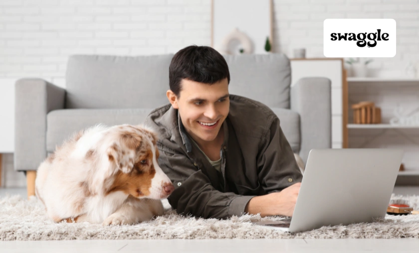 Swaggle AU Review: The Best Pet Food & Supplies! ([wpsm_custom_meta type=date field=month] [wpsm_custom_meta type=date field=year]) - The Complete Portal