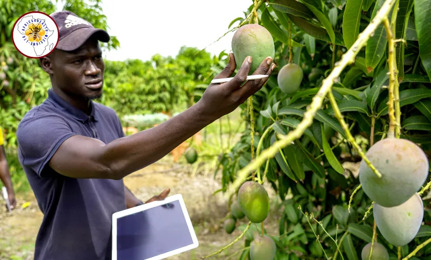 Africa4health Missions Ltd Review: Natural Health! (([wpsm_custom_meta type=date field=month] [wpsm_custom_meta type=date field=year]) - The Complete Portal