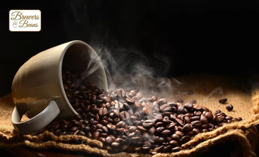 Brewers Beans Review: The Best Brewing Coffee Gear! ([wpsm_custom_meta type=date field=month] [wpsm_custom_meta type=date field=year]) - The Complete Portal