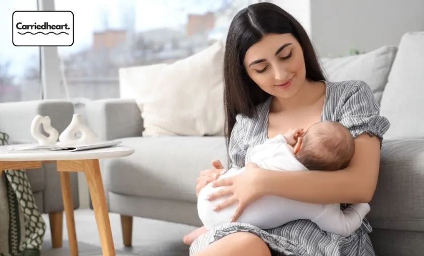 Carriedheart Review: The Best Breastfeeding Support! ([wpsm_custom_meta type=date field=month] [wpsm_custom_meta type=date field=year]) - The Complete Portal