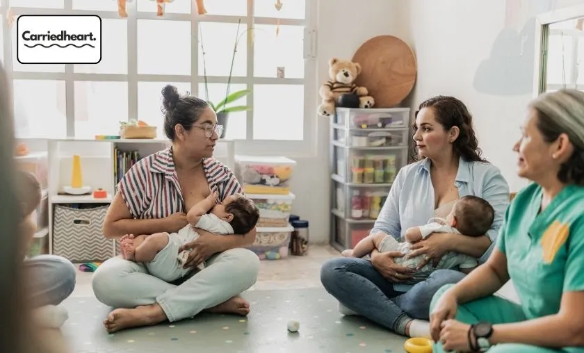 Carriedheart Review: The Best Breastfeeding Support! ([wpsm_custom_meta type=date field=month] [wpsm_custom_meta type=date field=year]) - The Complete Portal