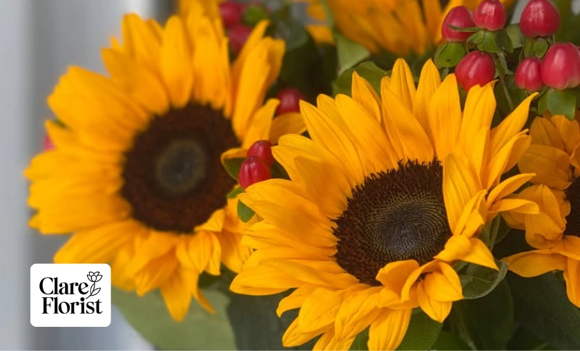 Clare Florist UK Review: Best Flowers for Occasion!([wpsm_custom_meta type=date field=month] [wpsm_custom_meta type=date field=year]) - The Complete Portal