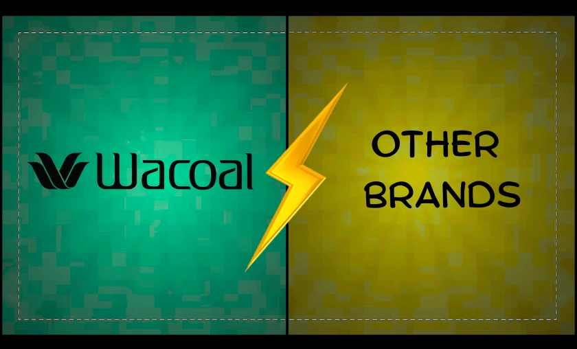 Wacoal US vs Other Intimates Brands