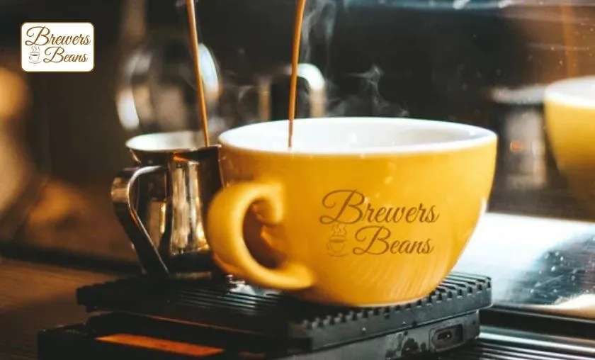 Brewers Beans Review: The Best Brewing Coffee Gear! ([wpsm_custom_meta type=date field=month] [wpsm_custom_meta type=date field=year]) - The Complete Portal
