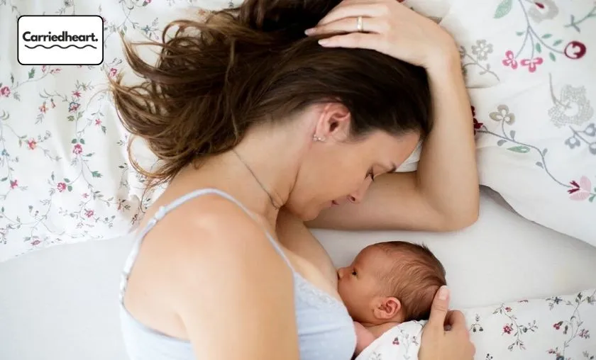 Carriedheart Review: The Best Breastfeeding Support! ([wpsm_custom_meta type=date field=month] [wpsm_custom_meta type=date field=year]) - The Complete Portal