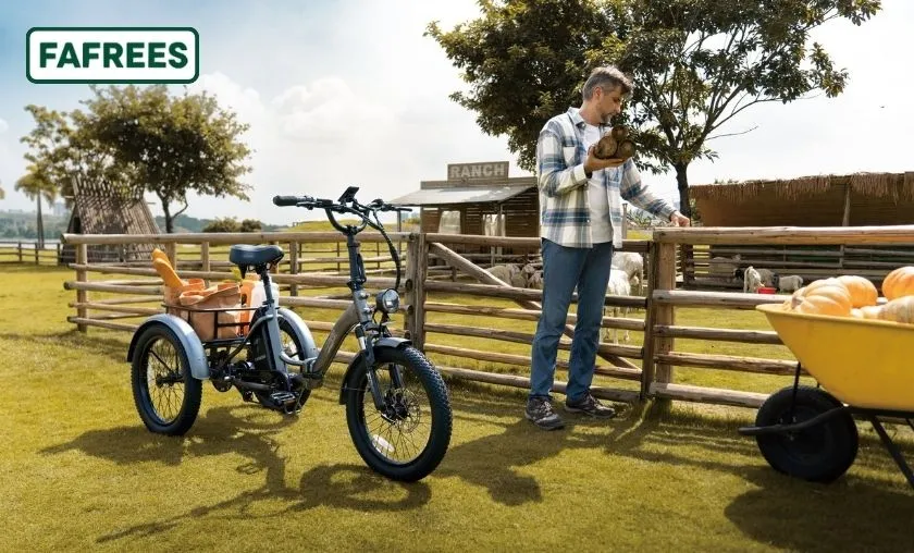 Fafrees Ebike Review: Best E-Bikes & Accessories! ([wpsm_custom_meta type=date field=month] [wpsm_custom_meta type=date field=year]) - The Complete Portal