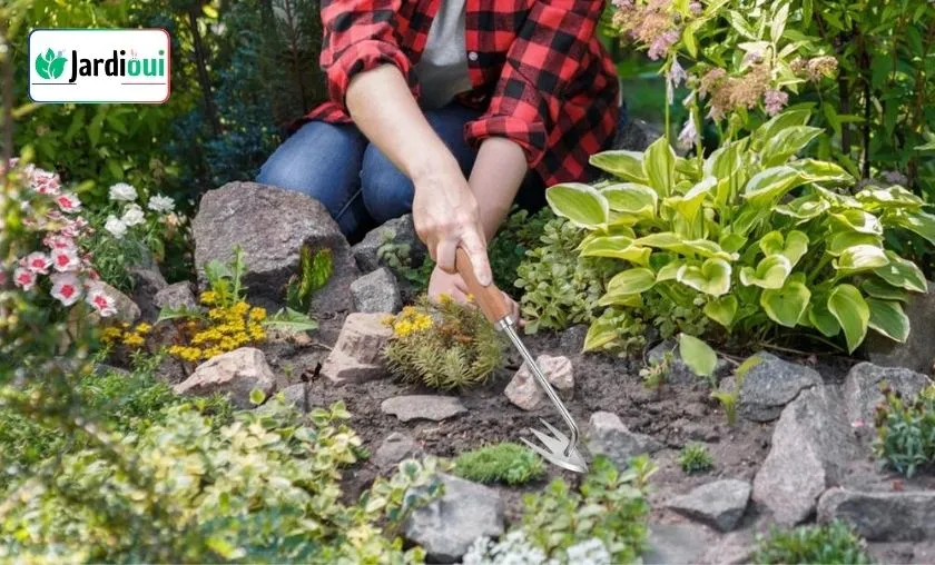Jardioui Review: Best Home, Garden & Lighting! ([wpsm_custom_meta type=date field=month] [wpsm_custom_meta type=date field=year]) - The Complete Portal