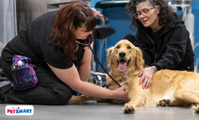 PetSmart CA Review – Complete Pet Care Products & Accessories! ([wpsm_custom_meta type=date field=month] [wpsm_custom_meta type=date field=year]) - The Complete Portal