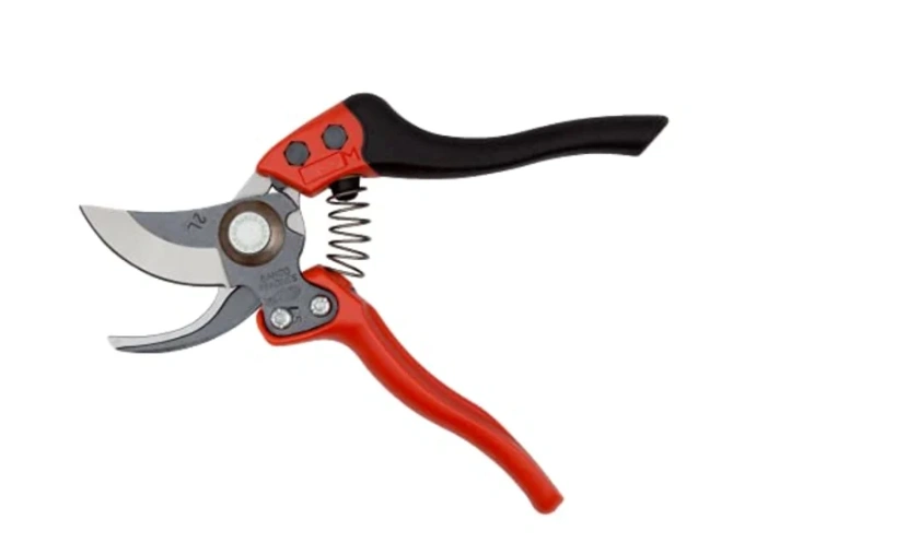 Ultimate Guide to Top-Rated Garden Tools for Beginners! ([wpsm_custom_meta type=date field=month] [wpsm_custom_meta type=date field=year]) - The Complete Portal