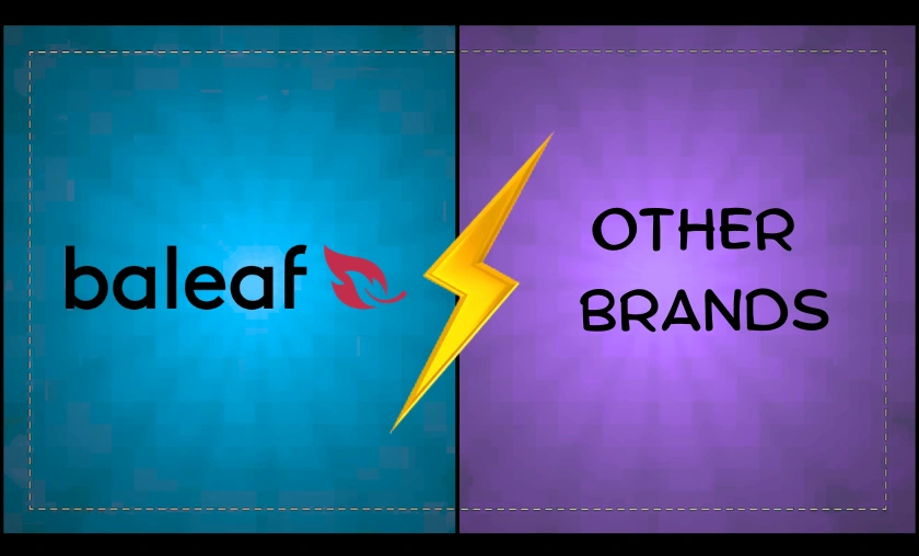 Baleaf US Review – Activewear, Outdoor Clothing & Sportswear! ([wpsm_custom_meta type=date field=month] [wpsm_custom_meta type=date field=year]) - The Complete Portal