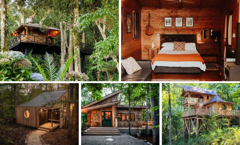 Your Ultimate Guide to Affordable Stays! ([wpsm_custom_meta type=date field=month] [wpsm_custom_meta type=date field=year]) - The Complete Portal