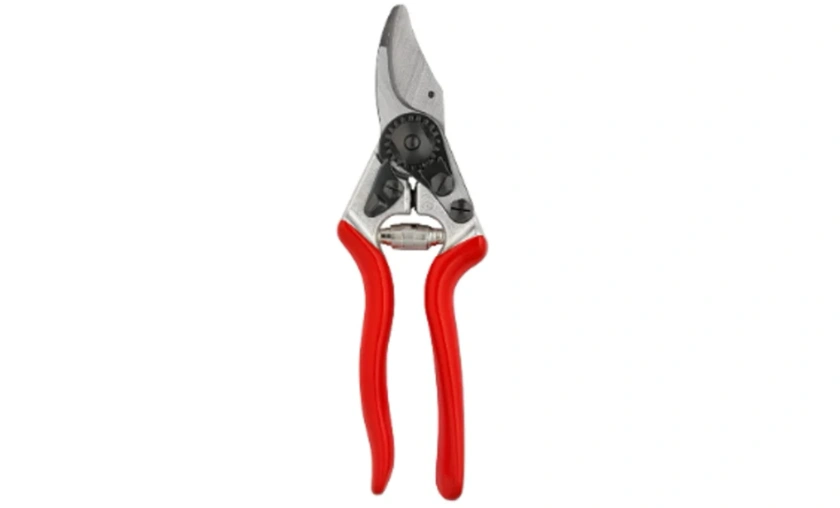 Ultimate Guide to Top-Rated Garden Tools for Beginners! ([wpsm_custom_meta type=date field=month] [wpsm_custom_meta type=date field=year]) - The Complete Portal