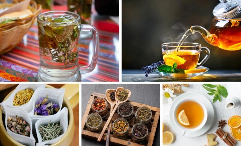 How to Make Tea 101: Great Guide for Beginners! ([wpsm_custom_meta type=date field=month] [wpsm_custom_meta type=date field=year]) - The Complete Portal