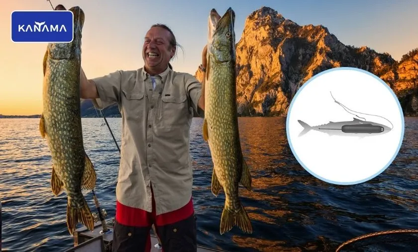 Kanama Review: Best Smart Fishing Gear & Bait! ([wpsm_custom_meta type=date field=month] [wpsm_custom_meta type=date field=year]) - The Complete Portal