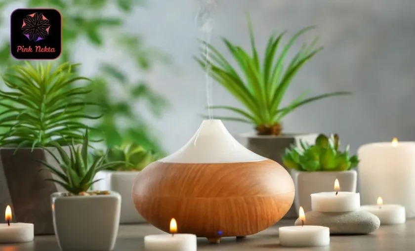 Pink Nekta Review: Best Spa Treatments & Wellness!([wpsm_custom_meta type=date field=month] [wpsm_custom_meta type=date field=year]) - The Complete Portal
