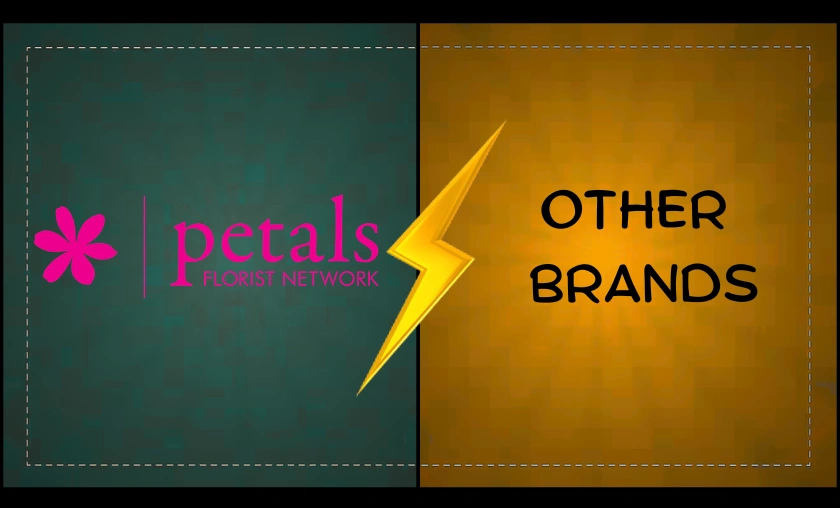 Petals Network AU Review – Online Flowers & Gift Delivery! ([wpsm_custom_meta type=date field=month] [wpsm_custom_meta type=date field=year]) - The Complete Portal