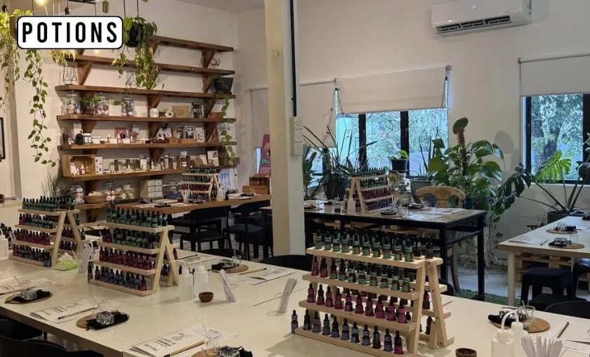Potions Review: Best Perfume Creation Workshops!([wpsm_custom_meta type=date field=month] [wpsm_custom_meta type=date field=year]) - The Complete Portal