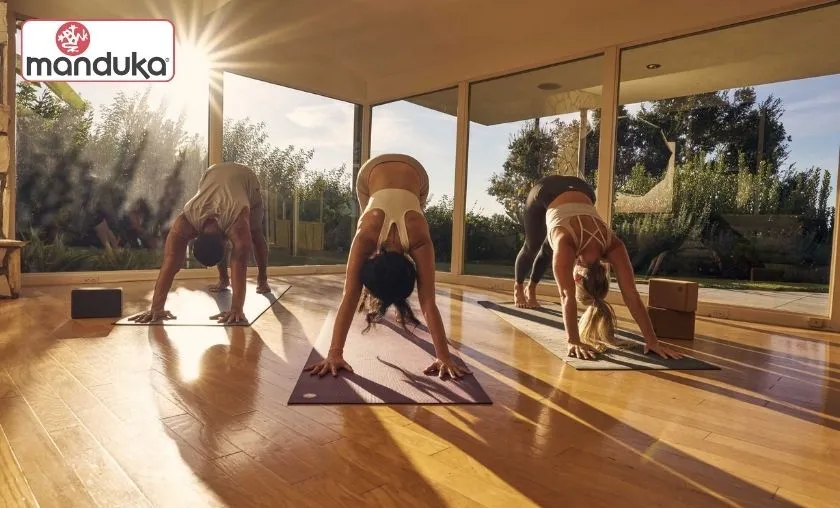 Manduka Review: Best Yoga Mats & Fitness Accessories! ([wpsm_custom_meta type=date field=month] [wpsm_custom_meta type=date field=year]) - The Complete Portal