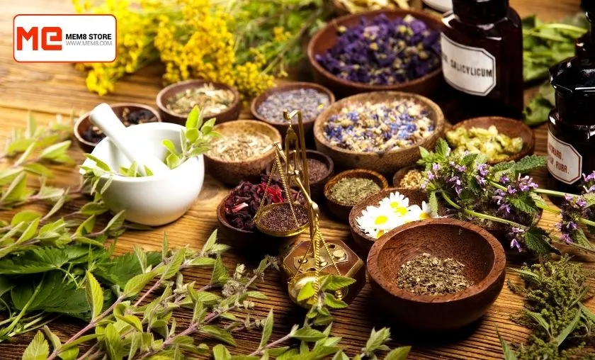 Mem8 Review: Best Lifestyle, Cosmetics & Spices! ([wpsm_custom_meta type=date field=month] [wpsm_custom_meta type=date field=year]) - The Complete Portal